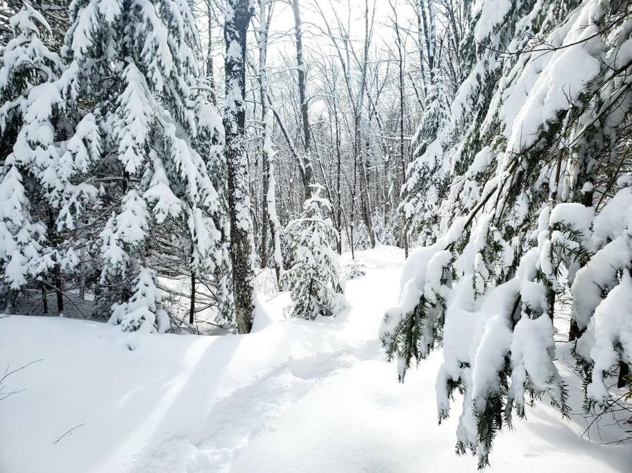 Chalet Riviere - Bord De Riviere - Romantique サン・タレクシ・デ・モン エクステリア 写真